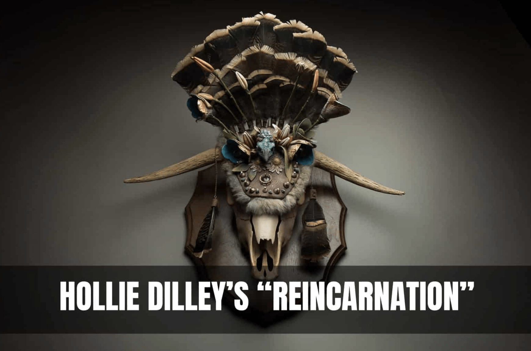 Hollie Dilley | REINCARNATION